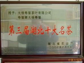 国产黄站,探索中国网络文化新趋势 第2张 国产黄站,探索中国网络文化新趋势 第2张